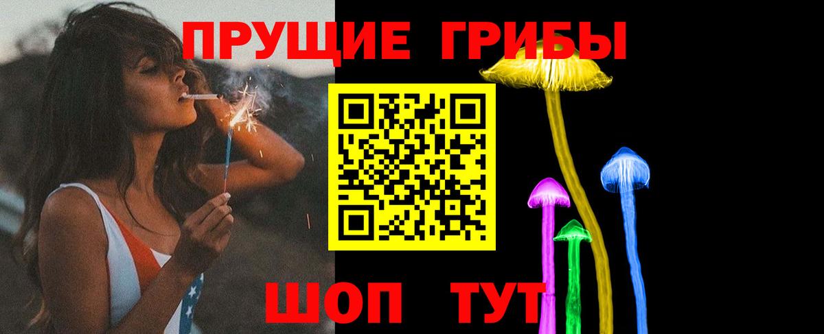 Брянск  Псилоцибиновые грибы Psilocybine cubensis  Вход с VPN 